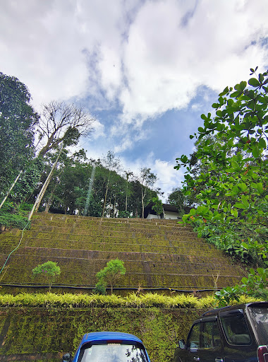 Photo from customer review