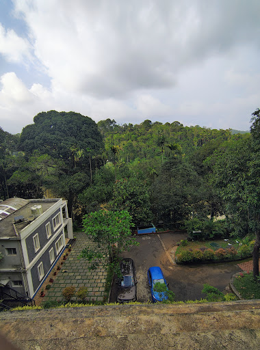 Photo from customer review