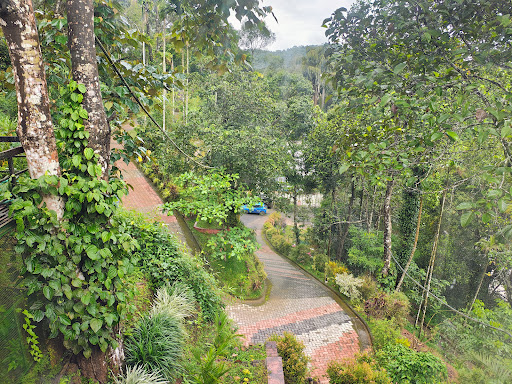 Photo from customer review