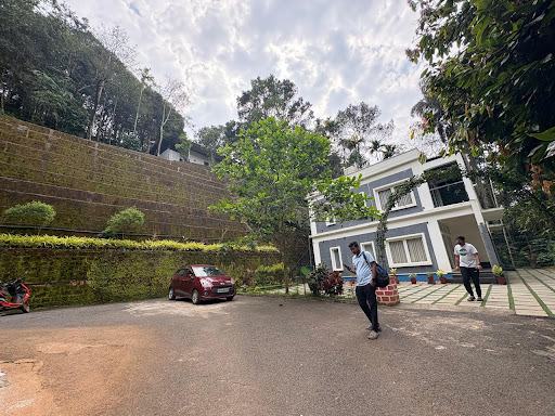 Photo from customer review