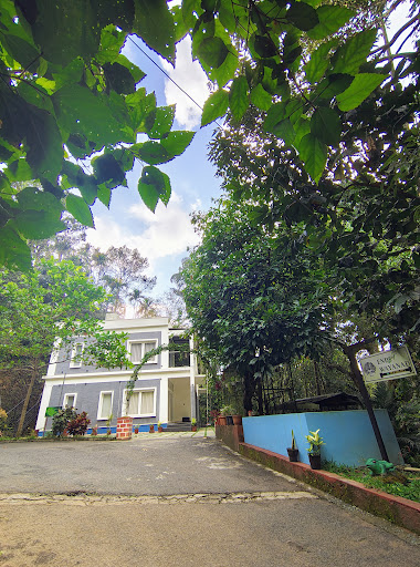 Photo from customer review