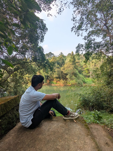 Photo from customer review