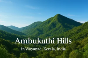 Panoramic view of Ambukuthi Hills, Wayanad under blue sky