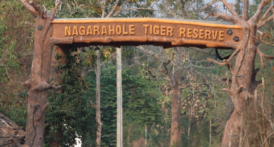 Nagarhole Tiger Reserve