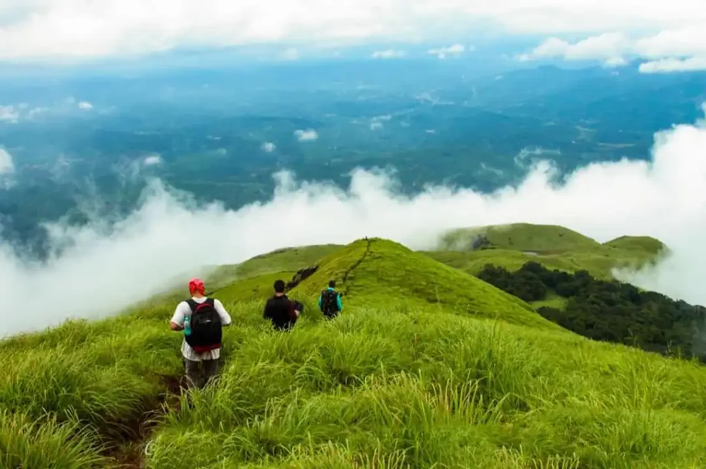 Experience Wayanad at Ende Wayanad resor