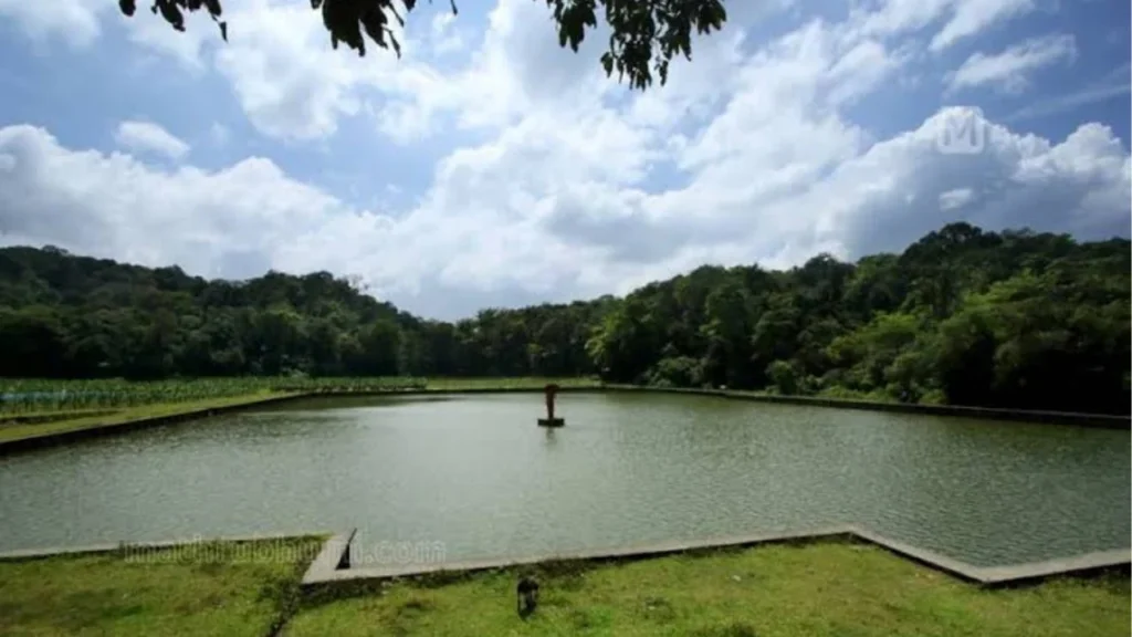 kunkichira near ende wayanad