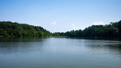 riverside relaxation by the kabini region