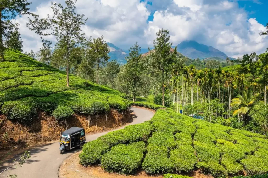 wayanad is Ideal for short 2–4 day trips