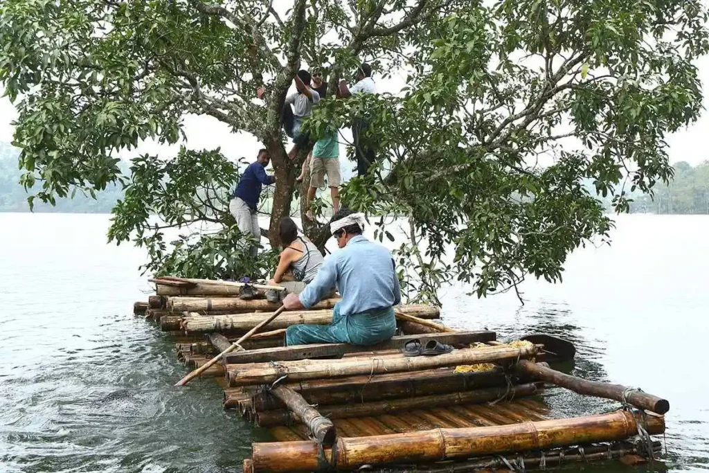 wayanad is perfect for family holidays and couple getaways