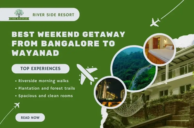 weekend gataway from bangalore to wayanad